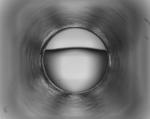 X0000102840300200808181031