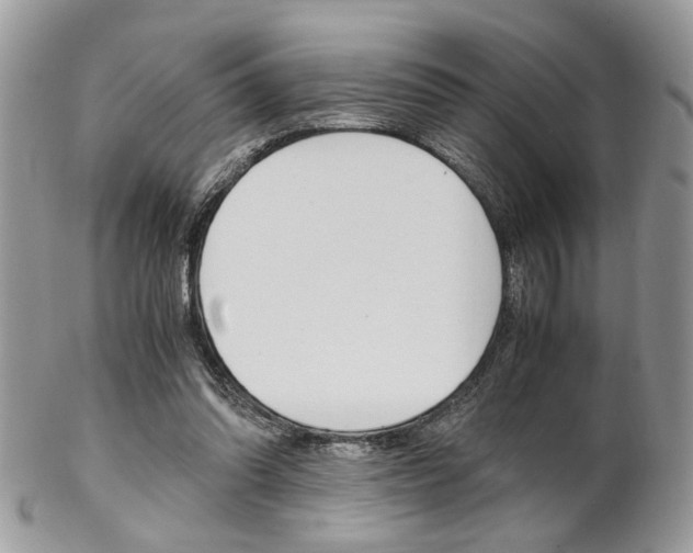 X0000102840302200808181031