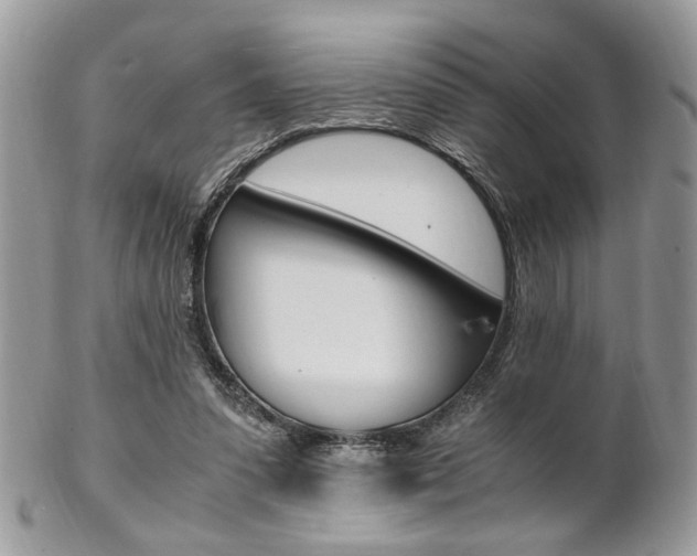 X0000102840303200808181031