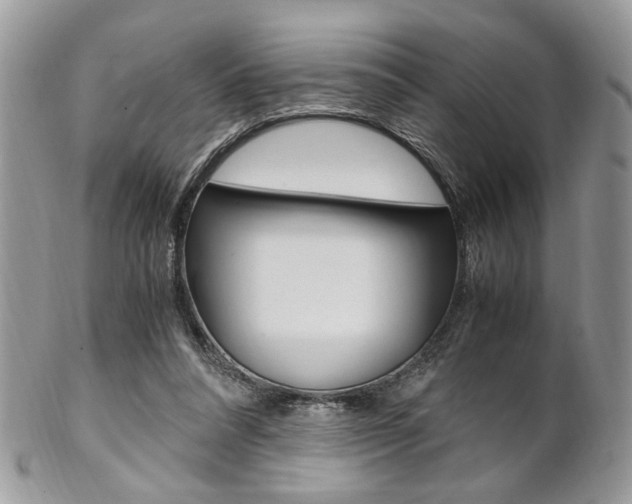 X0000102840304200808181031
