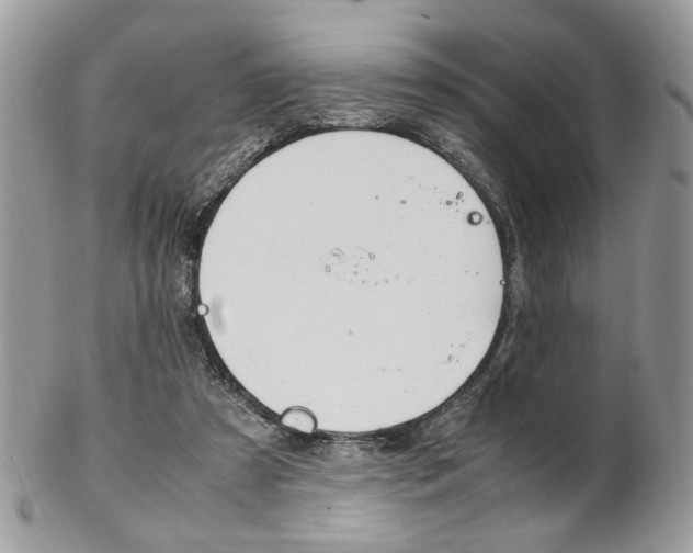 X0000102840305200808181031