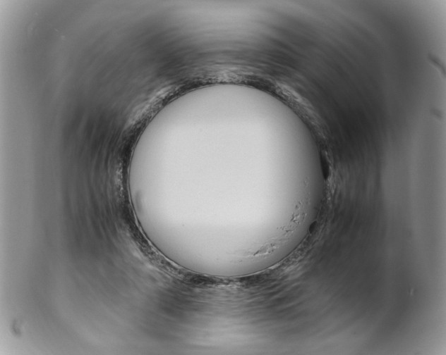 X0000102840306200808181031