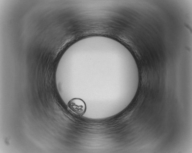 X0000102840308200808181031