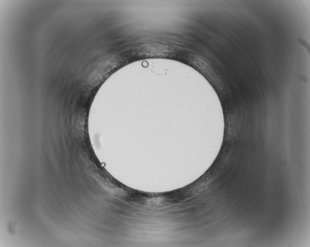 X0000102840309200808181031