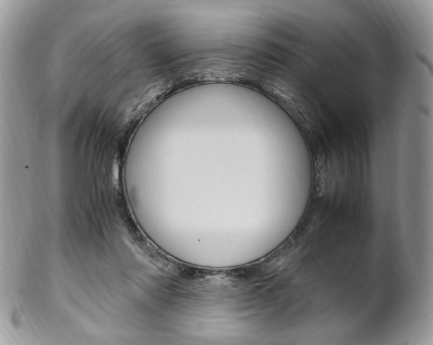 X0000102840310200808181031