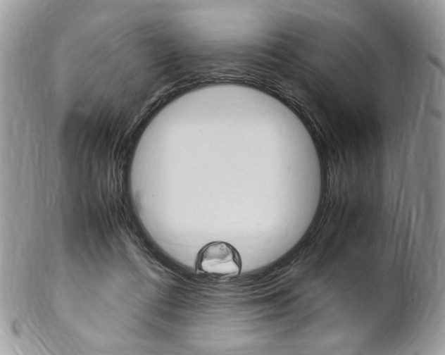 X0000102840312200808181031