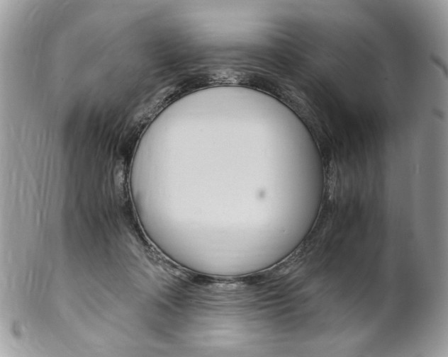 X0000102840314200808181031