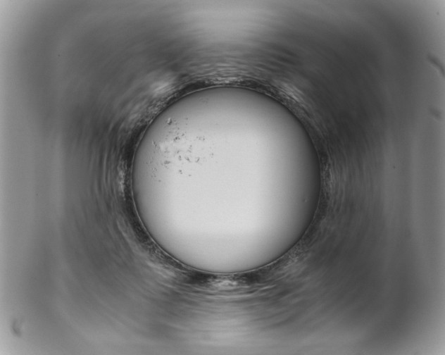 X0000102840315200808181031