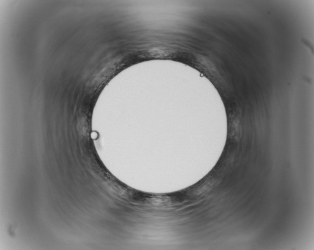 X0000102840317200808181031