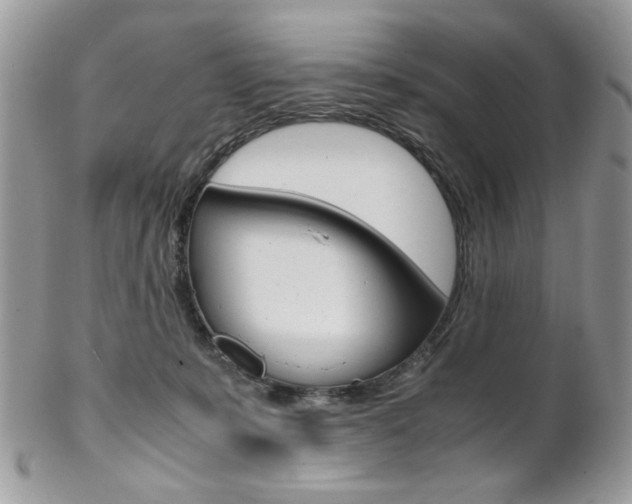 X0000102840319200808181031