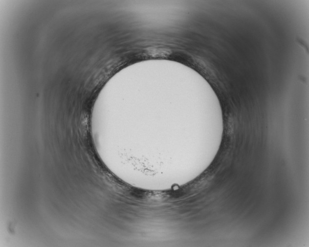 X0000102840321200808181031