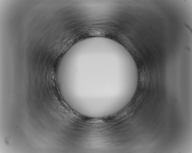 X0000102840322200808181031
