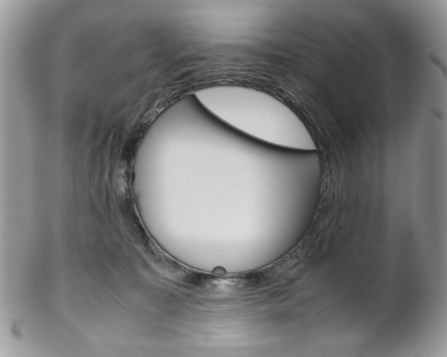 X0000102840323200808181031