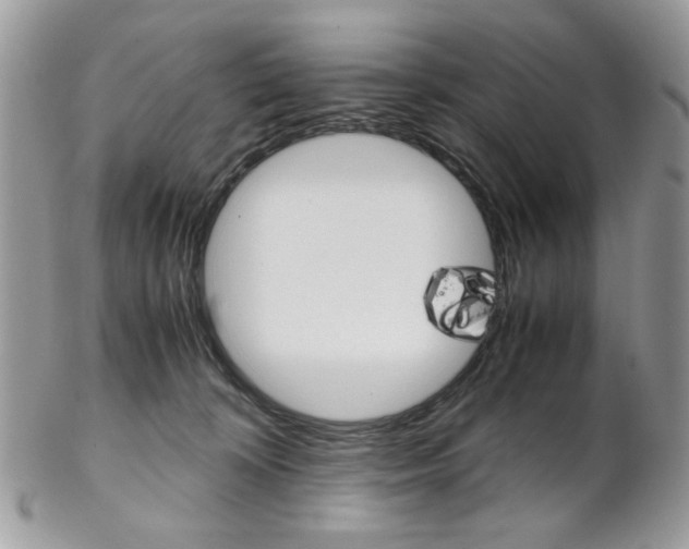 X0000102840324200808181031
