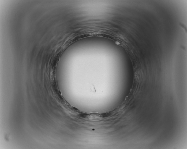 X0000102840327200808181031