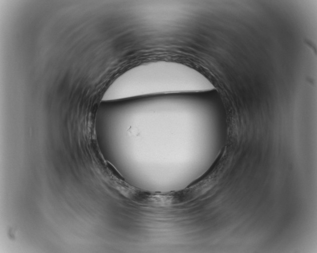 X0000102840328200808181031