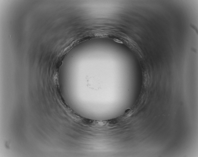X0000102840329200808181031