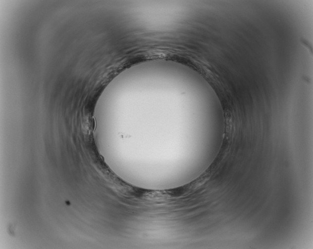 X0000102840331200808181031