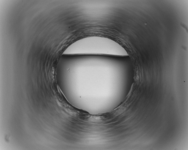 X0000102840332200808181031