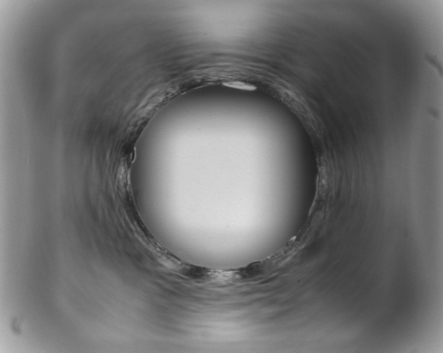 X0000102840333200808181031