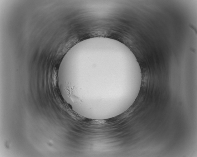 X0000102840334200808181030