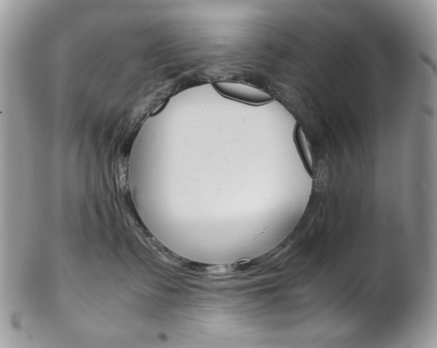 X0000102840335200808181030