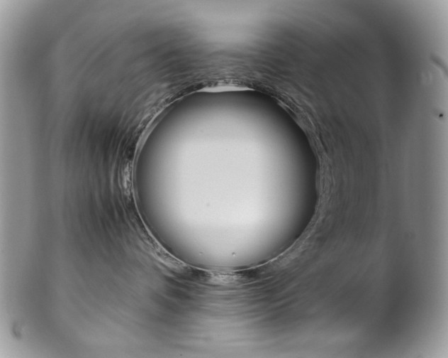 X0000102840336200808181030