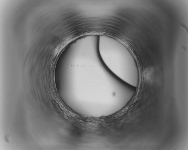 X0000102840337200808181030