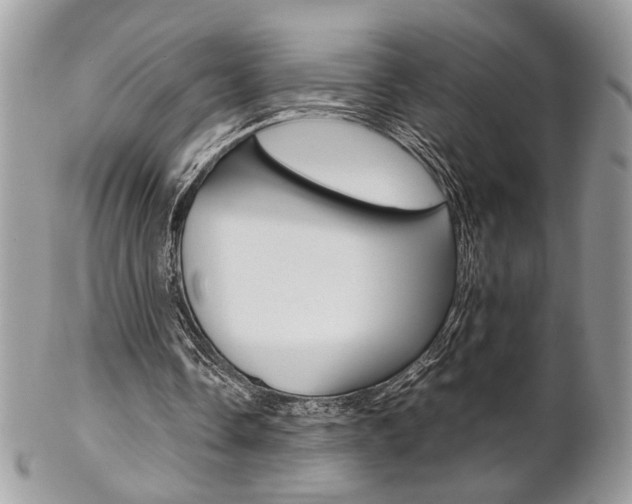 X0000102840338200808181030