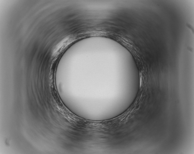 X0000102840339200808181030