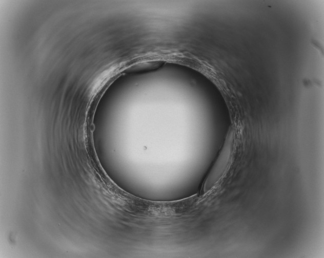 X0000102840340200808181030