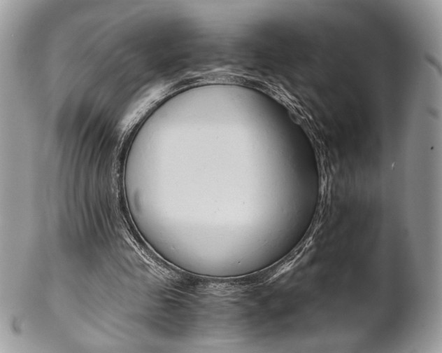 X0000102840341200808181030