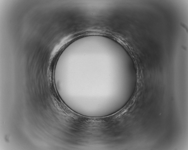 X0000102840343200808181030