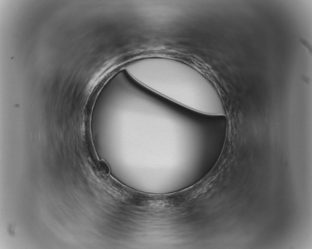 X0000102840344200808181030