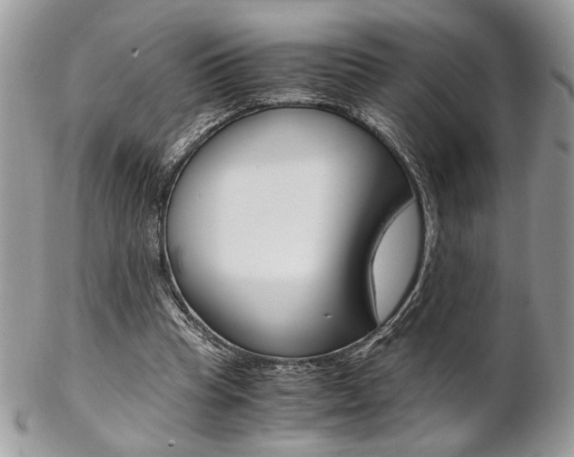 X0000102840345200808181030