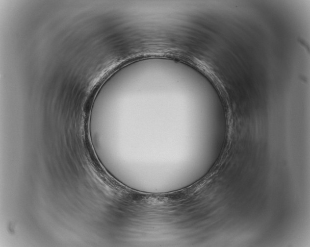 X0000102840346200808181030