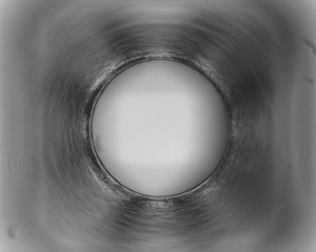 X0000102840347200808181030