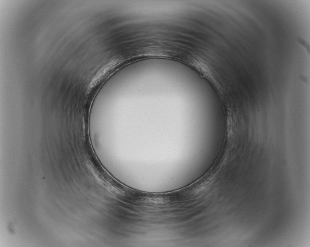 X0000102840349200808181030
