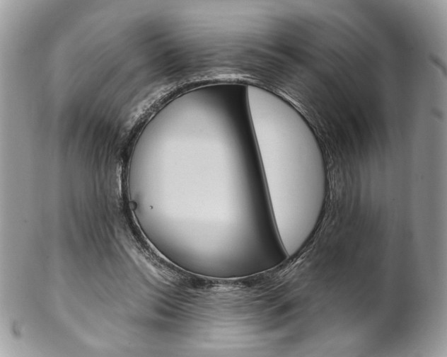 X0000102840350200808181030
