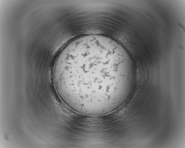 X0000102840351200808181030