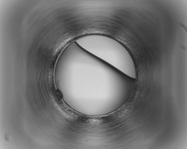 X0000102840352200808181030