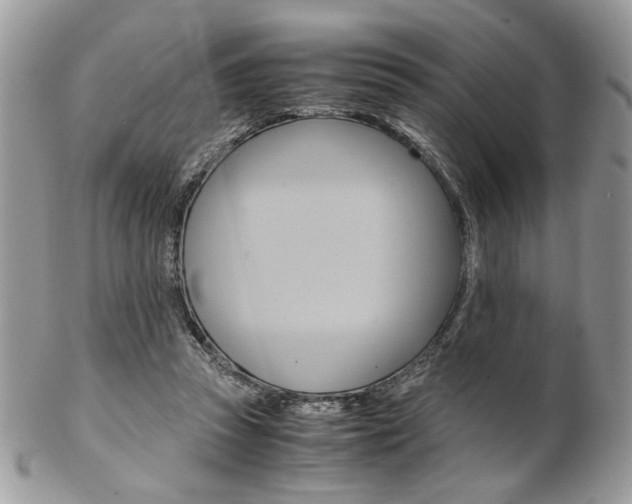 X0000102840353200808181030