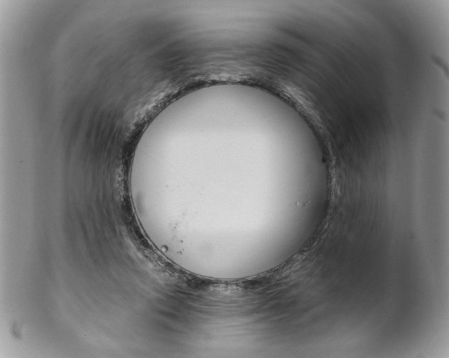 X0000102840354200808181030