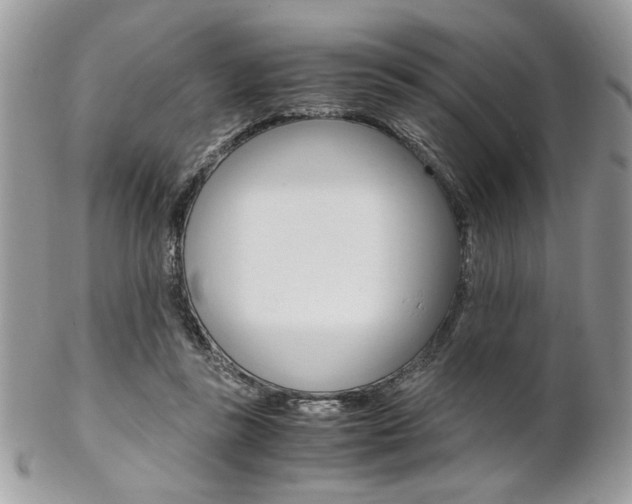 X0000102840355200808181030