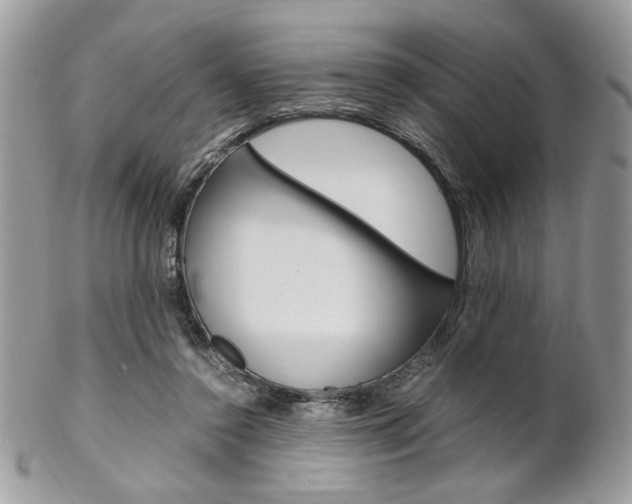 X0000102840356200808181030