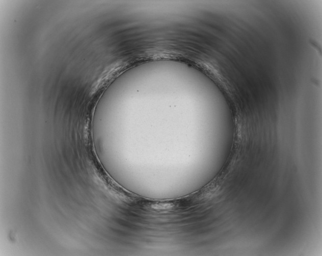 X0000102840357200808181030