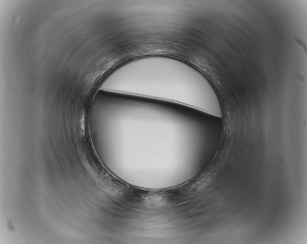 X0000102840358200808181030
