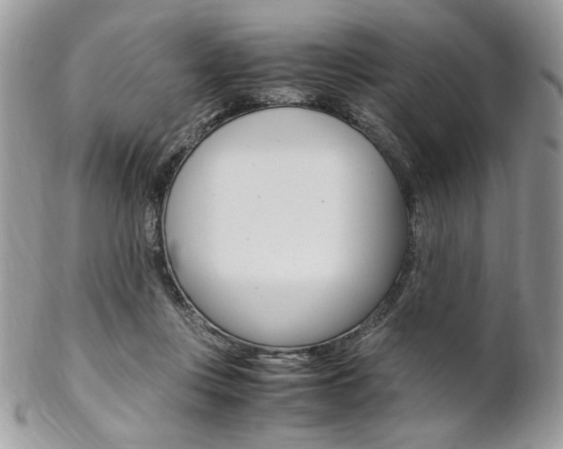 X0000102840359200808181030