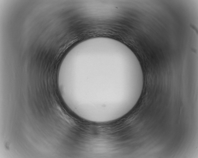 X0000102840360200808181030