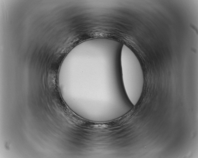X0000102840363200808181030
